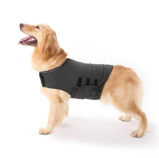 Dog Anxiety Comfort Clothing - Gentle Compression Wrap - lifestyle photo