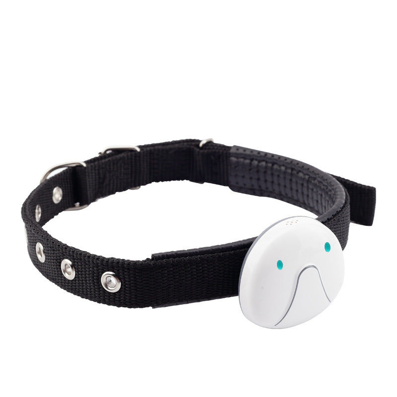 Waterproof Dog GPS Collar Tracker - Anti-Lost Pet Locator - in use