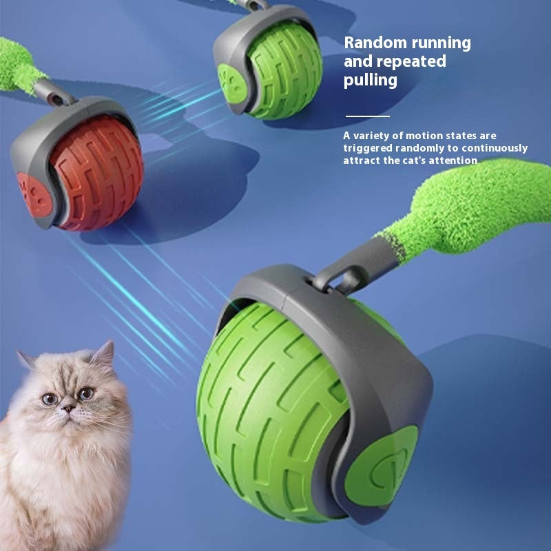 Interactive Rolling Ball Cat Toy - USB Rechargeable - back view