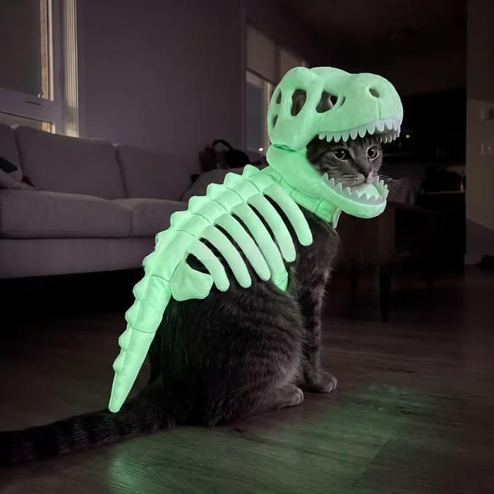 Dinosaur Skeleton Pet Costume - Halloween Dog Outfit - Grey - front view