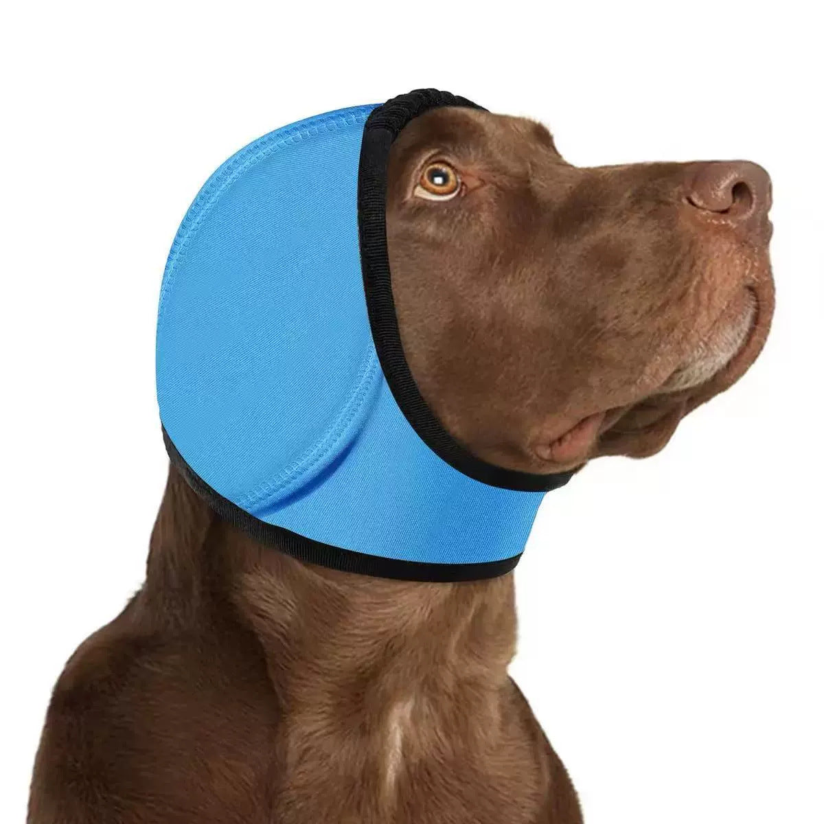 Dog Calming Ear Wrap - Waterproof Hood for Storms & Fireworks - close-up detail