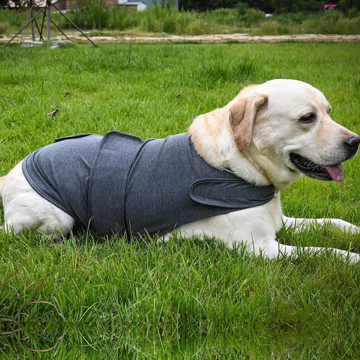 Dog Anxiety Vest - Breathable Thunder Jacket for Storm & Stress - side view